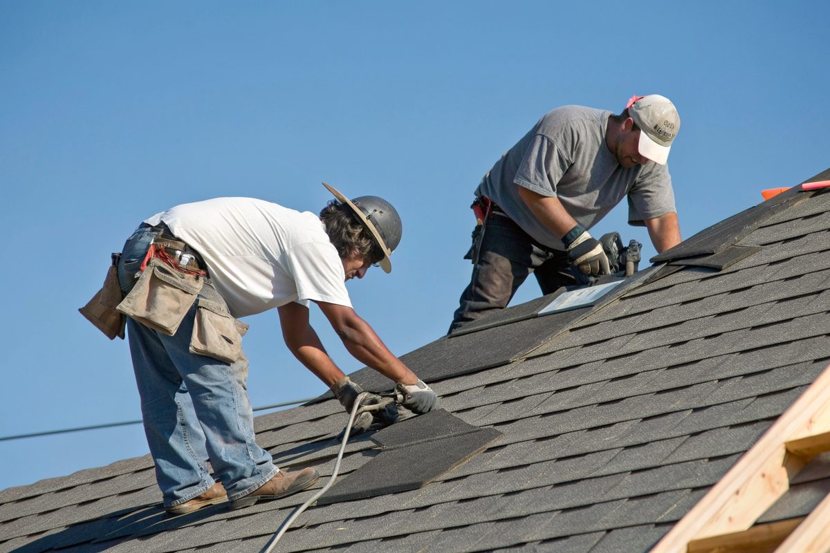 Two roofers nailing new charcoal architectural shingles on a sunny roof